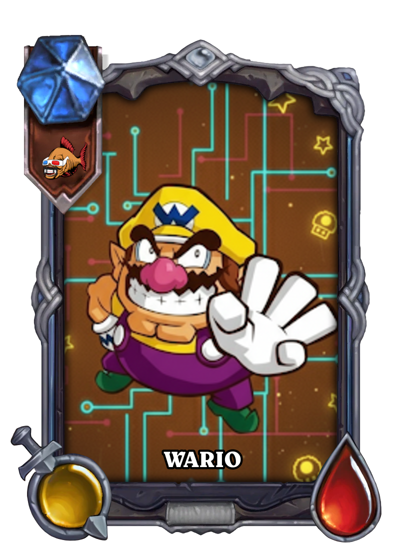 1Z-WARIO